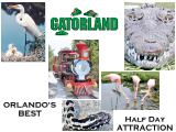 Visit Gatorland!